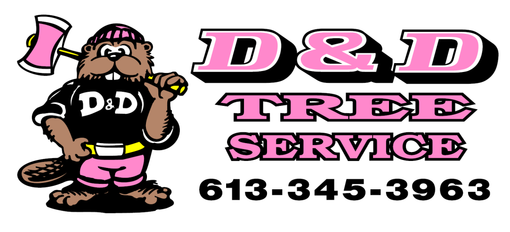 D and D tree Service logo